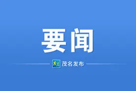 蔡万麟到我市考察调研：讲好茂名故事 汇聚发展能量图片