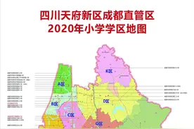天府新区成都直管区2020小学学区划片出炉！这些楼盘值得关注图片