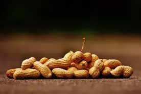 我国花生产业分析简报图片