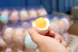 够力啵！这里的村民在山林里捡出“金蛋蛋”！图片