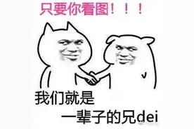 交通标志大集合！快看看您能认全吗？图片