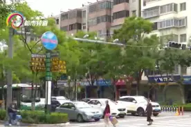 机动车如何礼让行人？新规细化明确，这样过斑马线，不扣分图片