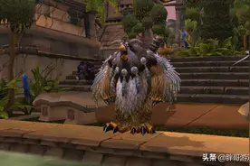 魔兽TBC：P3阶段稀缺职业，鸟德基础玩法攻略，硬核团队必备专精图片