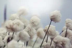 其实，对一个人动情了，是有迹可循的图片