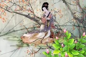 听琴曲读四书五经——诗经-国风-王风-中谷有蓷图片