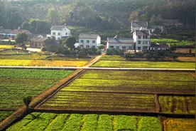 户口短暂迁出又迁入，就不是村集体经济组织成员了吗？不一定图片