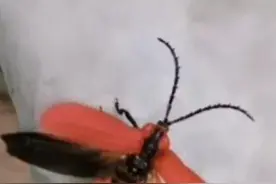 起飞，释放梦想图片