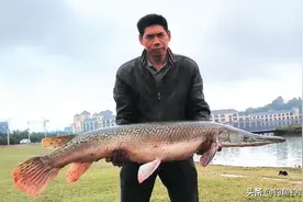 钓到这三种鱼怎么处理？有触目惊心的感觉？论入侵鱼对垂钓的影响图片