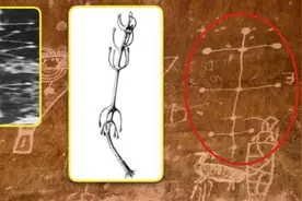 南极，地球上神秘且不可思议的地方，可能有不能公开的秘密图片