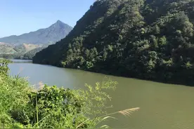 合肥免费的野钓钓点分享！大家周末可以去钓鱼啦！绝对鱼获满满图片