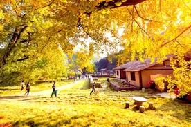 随州10大秋季打卡地推荐，个个美爆朋友圈，看到第一个就想出发…图片