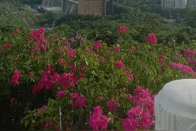 健康护肤，足部保养一定不能忘……图片