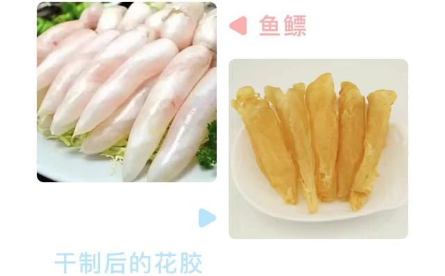 最贵的花胶图片大全 2026年最贵的花胶图片大全及价格