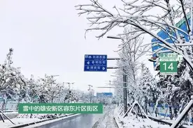 雄安早知道（2021年11月14日）：雄安将努力建设新时代生态文明典范城市图片