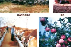 「乡村记忆」菏泽市＞鄄城县 鄄城镇图片