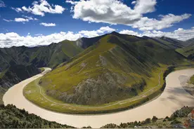 又是蛇！青藏高原三江源出现新蛇种，为何我国野生动物越来越多？图片