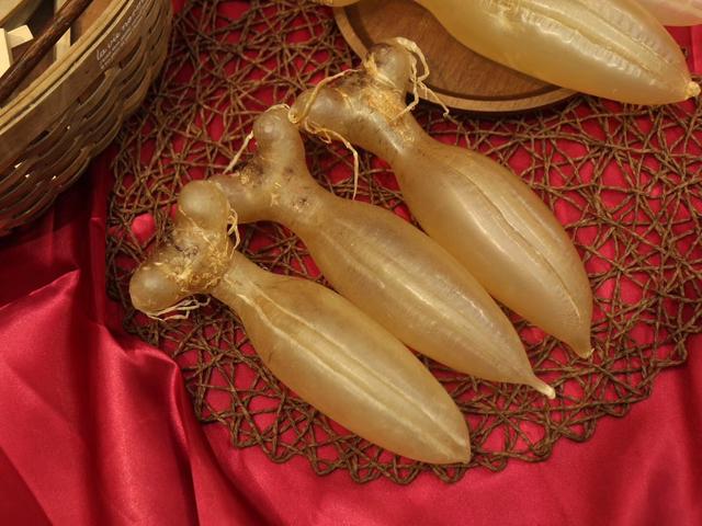 花胶用来炖好还是煲汤好 2026年花胶用来炖好还是煲汤好一点