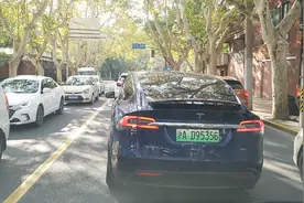 实拍上海市区 路边法国梧桐树非常漂亮 你们觉得怎么样！