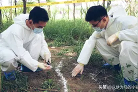 8个家长不看好的“冷门专业”，其实就业率很高，发展潜力也大图片