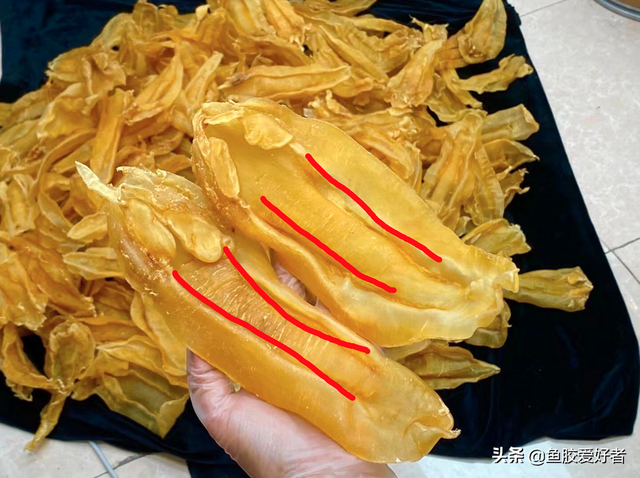 北海鱼胶和赤嘴的区别 2026年北海鱼胶和赤嘴鱼胶哪个好