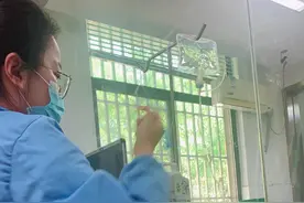 兔子积食胀气的胃肠道阻滞治疗记录3图片