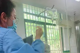 兔子积食胀气的胃肠道阻滞治疗记录3图片