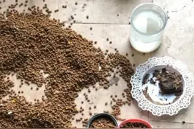 主人出差，给猫咪准备了8斤猫粮，结果回来痛不欲生图片
