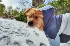 “我好冷，请你帮帮我……”图片