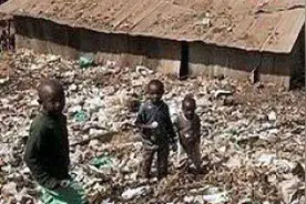 巴西库巴唐：为什么会有这么多的“无脑婴儿”？简直就是噩梦图片