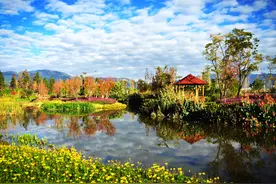 中国适合养老的5个冷门小城，安静闲适环境好，冬不冷夏不热图片