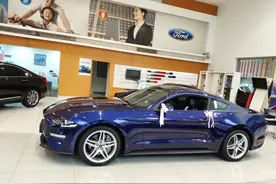 福特野马 谢尔比图片