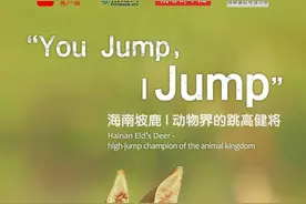 怪！海南岛上有个“懒妹子”，有翅膀还不肯飞图片