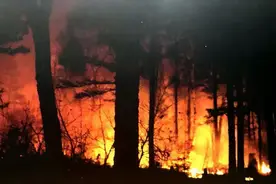 独舞三十年为谁？《漠河舞厅》凭啥走红？图片