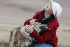 11年前成都女孩救小狼，把狼当自己孩子养，十年后与狼重逢图片
