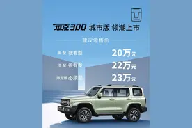 20万起售，22万才得买？网红车坦克300城市版哪款配置更好？图片