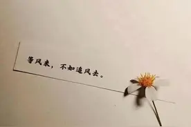 借呗一夜之间关闭了图片