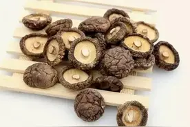 四川西部大旗香菇烘干房，适合各类食用菌烘干，款式齐全图片