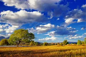 吃过大苦的人，都很安静，早已活成了静音模式图片