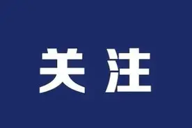 海南“零关税”进口汽车挂牌上路图片