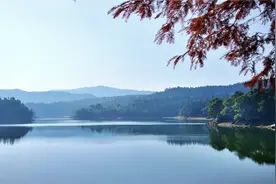 扎心了！今年这所大学“爆冷”，录取线仅150分，竟还缺额1652人图片