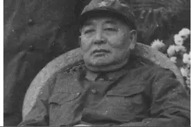 在1266名开国大校中，哪些将军的军衔偏低了图片