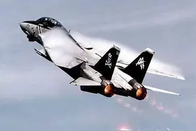 把舰载机卖给中国人！F-14差点变成“狸花猫”，抢了苏-27的位子图片