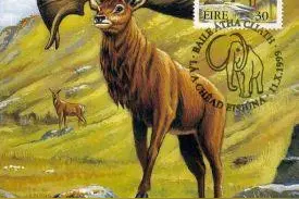 近代灭绝的距离我们最近的八种美丽的动物图片