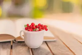 婚姻里，人品决定底限，三观决定上限，先有好丈夫，才有好妻子图片