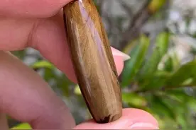 （干货）所有的海柳都会包浆变色吗？图片