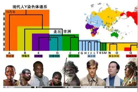 部落的远征——C系迁移史图片