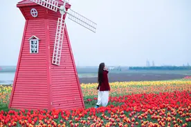 离南京市区1小时，高淳这慢城的春天也太美了，5处景点不能错过图片