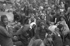 闹饥荒时，为何人们放着河里的鱼虾不抓，宁愿吃草根啃树皮？图片