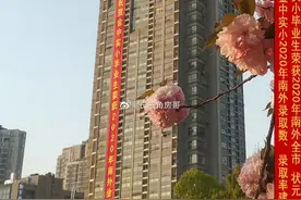 刚刚！南京热门学区房最新价格曝光，最高跌了2100元/㎡图片