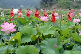 四川南部县图片